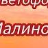 Семья из Мариуполя Тошнит и укачивает меня Ищем решения вопроса мариупольсегодня мариупольвидео