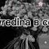 новая цыганская песня ты сома себе не рада