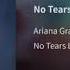 Ariana Grande No Tears Left To Cry Slowed Down