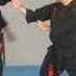 Free Style Kenpo Karate