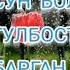 жакшы ойлор мн жагымдуу создор мн Суйуу толгон журок мн жоолуккан кандай жакшы 23 11 21