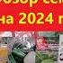 Обзор семян на 2024 год