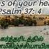 Word Of God By Bro AC Raja Psalm 3 4