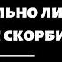 ВОСХИЩЕНИЕ действительно ли до великой скорби Др Роджер Либи