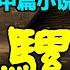 莫言的中篇小說欣賞 野騾子 莫言 小說 聽書 小說 聽書 散文 美文