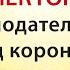 Законодательство в период коронавируса изменения и последствия