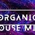 Organic House Mix 2024 DJ Slava