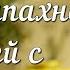 Стихи про Новый год Когда запахнет хвоей с мандаринами Андрей Чернышов