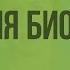 Краткая история развития биологии Видеоурок по биологии 10 класс