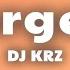 DJ KRZ Emergency Lyrics