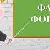 7класс Тема18 Влияние внешних факторов на формирование рельефа