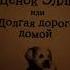 Читаю книгу на нос очень интересная автор Холли Вебб книга про потерянного щенка