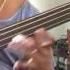 Aria Acoustic Bass With Thomastik Infeld Nylon Core Strings