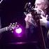 Al Stewart W Peter White Dave Nachmanoff Band Nostradamus At The Royal Albert Hall 2015