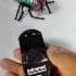 Remote Control Simulation Housefly