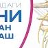 Эндоскоп билан бел грижани 1 кунда даволаш 95 натижа 93 401 10 50 грыжапозвоночника боль