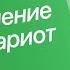 2 41 Сравнение клеток эукариот Животные Растения Грибы Цитология к ЕГЭ Георгий Мишуровский