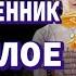 Аудиокнига ПУТЕШЕСТВЕННИК В ПРОШЛОЕ ТОМ I Часть III Фантастика Попаденцы Приключения