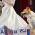 Dog Dancing World Championship 2022 Anastasiia Beaumont And Border Collie Yuki