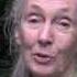 Wounda S Journey Jane Goodall Releases Chimpanzee Into Forest