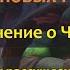 222 Хроник Хаоса Черепашки ниндзя Итоговое мнение о герое на данный момент порция мечтаний