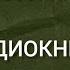 АУДИОКНИГА СЧАСТЛИВЫЙ КАРМАН ПОЛНЫЙ ДЕНЕГ Дэвид Кэмерон Джиканди Глава 2