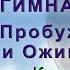 Цигун Пробуждение Ци Суставная гимнастика 20 минут Комплекс для начинающих