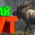 УРААНХАЙ БУЛЧУТТАР CS GO TheHUNTER CALL OF THE WILD