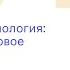 Лекция Григория Винокурова Пиратская антропология Дэвид Гребер и новое видение истории ТОМ II