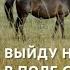 I WILL GO OUT INTO THE FIELD AT NIGHT WITH A HORSE The Whole Country Is Singing Reaction