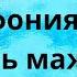 Йозеф Гайдн Симфония 94 соль мажор Сюрприз