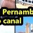 4 CAMINHÕES PARA VENDER DE PERNAMBUCO ENVIADOS PELOS INSCRITOS NOVEMBRO 2024 CO DETALHES