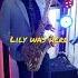 Lily Was Here Lilywasheresaxcover Saxophone Saxcover Saxophone Lily Was Here