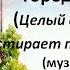 Вокальное трио Меридиан Городок Целый день стирает прачка