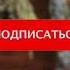 ТОВОНГА ТУЗ ЙИҒИЛИШИ Нодир Абдусамад Алимов