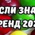 ТАНЦУЙ ЕСЛИ ЗНАЕШЬ ЭТОТ ТРЕНД 2024