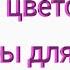 14 декабря 2024 Обзор магазина семян АЭЛИТА