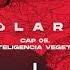 Solaris Inteligencia Vegetal