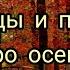 Пословицы поговорки и приметы про осень детям Пословицы об осени поговорки осень пословицы