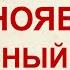 24 ноября ФЕДОР СТУДИТ Почему нельзя это делать