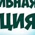 Суггестивная функция Манипуляции человеком Ведут Наполеон и Бальзак Центр соционики ИНСАЙТ