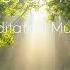 Meditation Music In The Forest To Clear Your Head Relaxing Music Stress Relief Music Healing Music