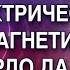 Леонардо да Винчи Электричество и магнетизм Гарат школаСорадение ФизикаИкосмос