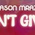 Jason Mraz I Won T Give Up Lyrics