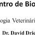 Seminário Do Centro De Biotecnologia Dr David Driemeier