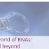 The Expanding World Of RNAs MiRNAs And Beyond Enikö Sonkoly