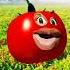 Tomato Song Shorts Jhuma Entertainment