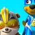 PAW Patrol Patrulla De Cachorros 30 Minutos De Las Mejores Misiones De Paw Patrol Nick Jr