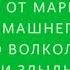 Белорусские мифы От Мары и домашнего ужа до волколака и Злыдни Елена Евгеньевна Левкиевская