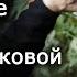 Фехтование на мечах насмерть в германских землях 14 17 вв Николай Асламов Научпоп HEMA ХЕМА